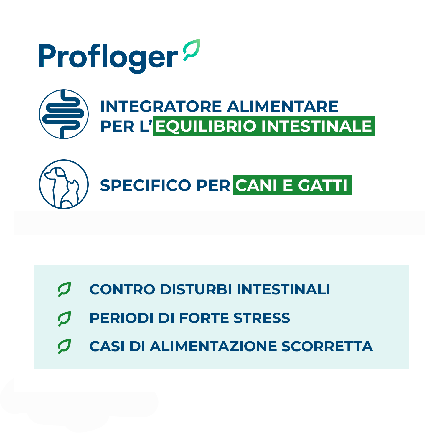 Profloger informazioni