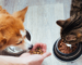Gaia Pet, la flora intestinale e il benessere dei nostri amici animali