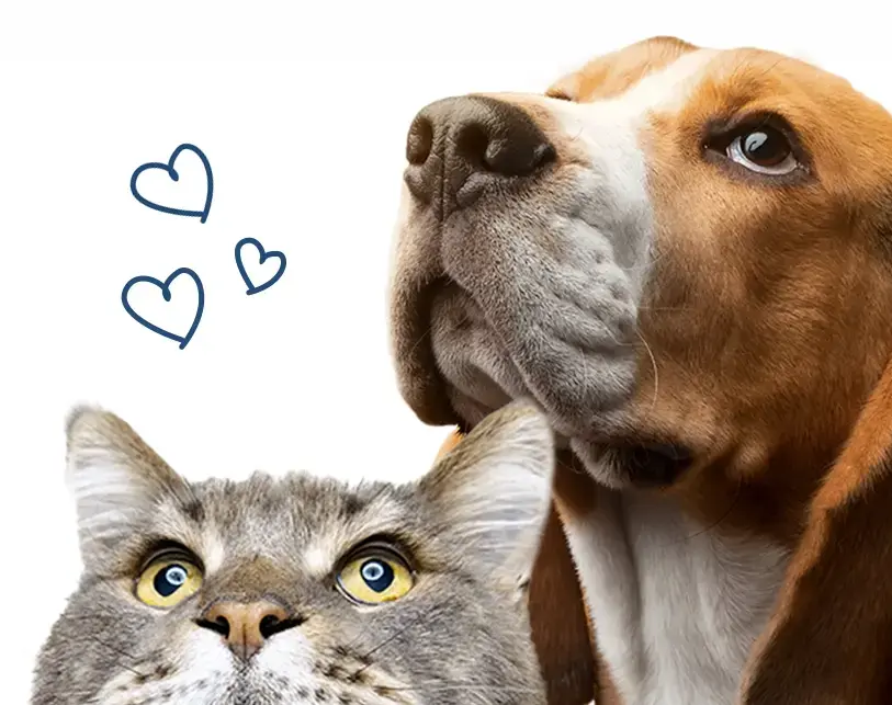 Gaia Pet igiene e benessere per cani e gatti Made in Italy