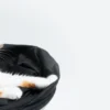 shampoo per gatti guida alla scelta pelo pulito Gaia Pet